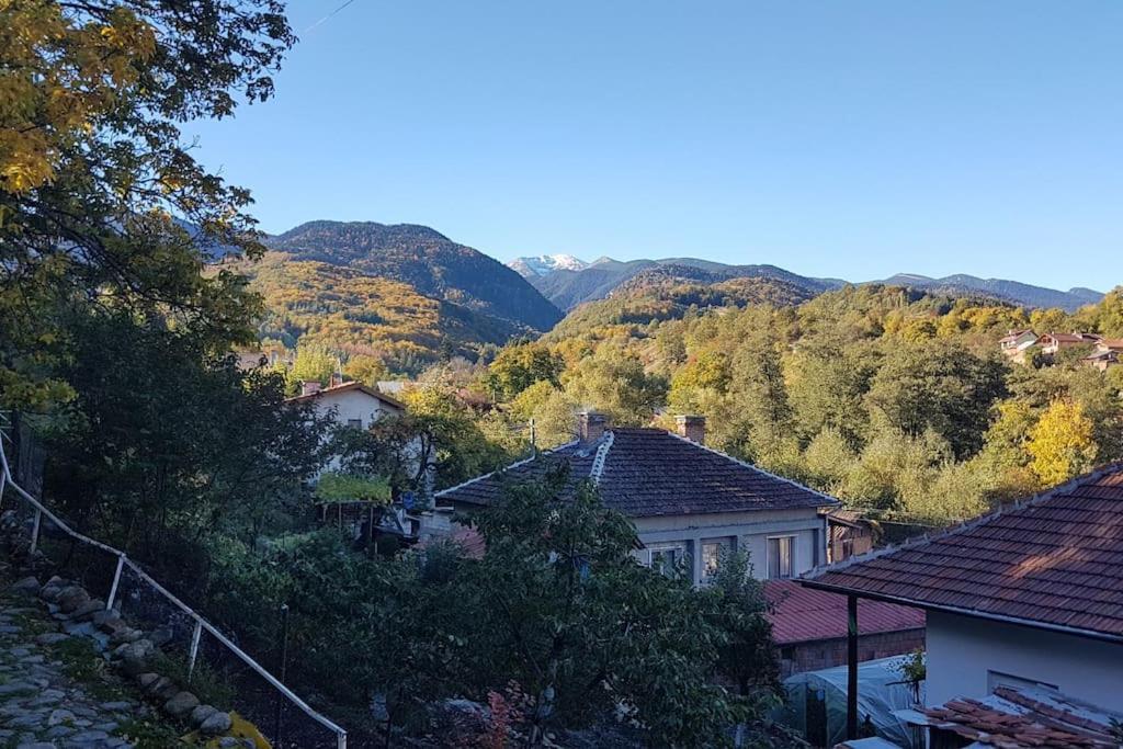 Duvaro Guesthouse Raduil Zewnętrze zdjęcie